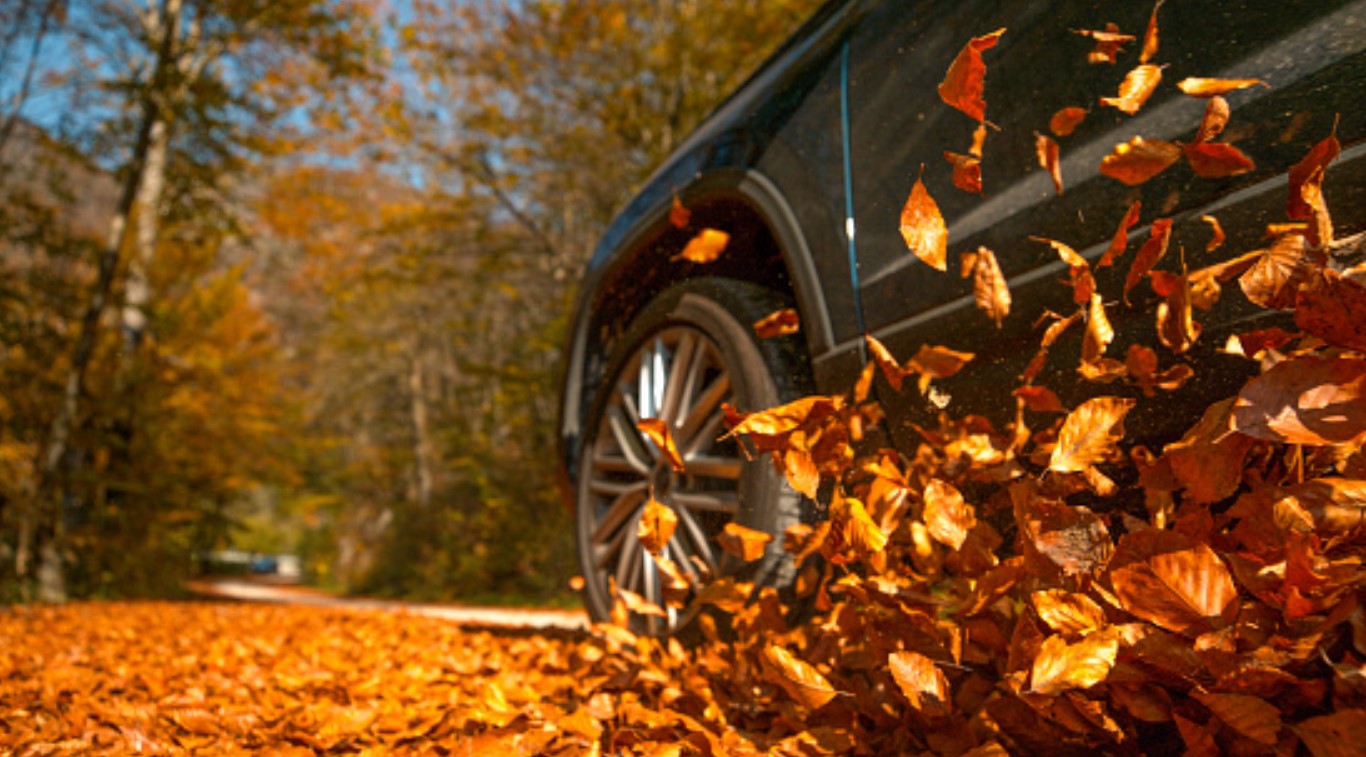 seguro de auto en otoño